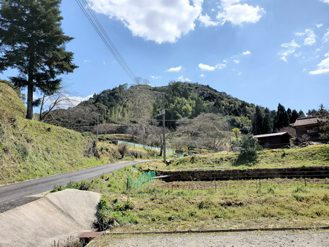写真17