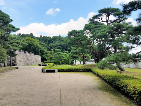 写真14