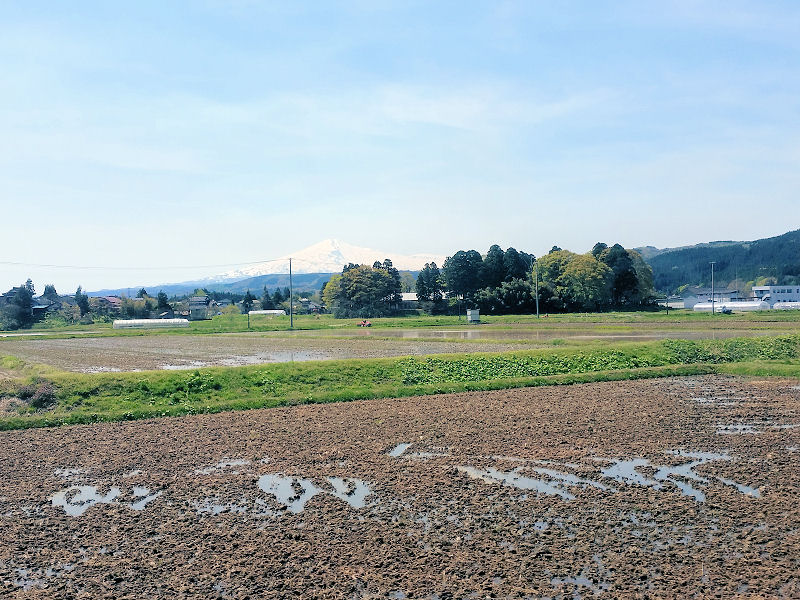イメージ 12