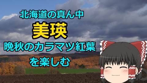 221104_美瑛カラマツの紅葉