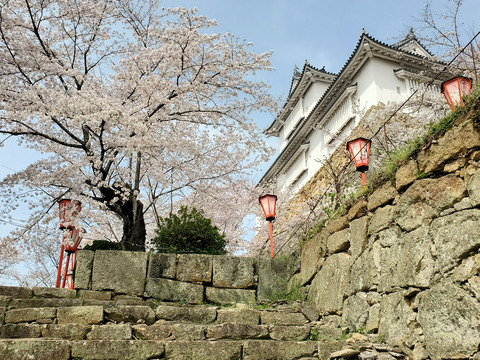 写真072