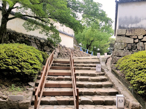写真01