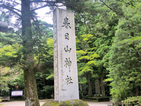 写真03