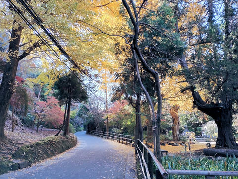 写真03