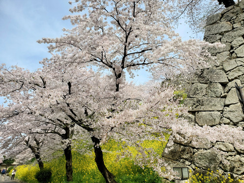 写真070