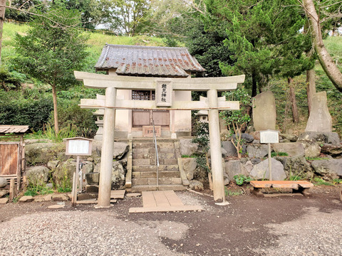 写真47