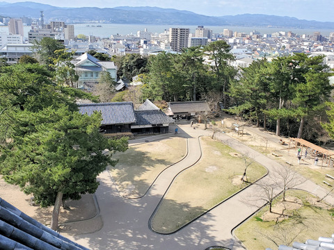 写真11
