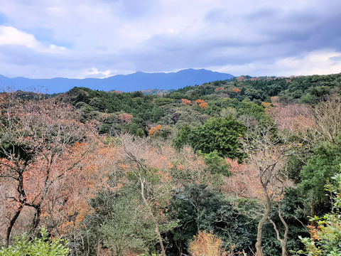 写真02