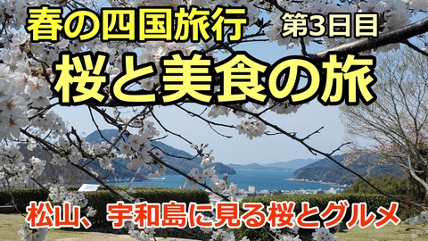 250329a_四国旅行3日目