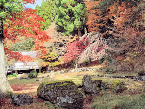 写真59