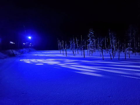 写真02