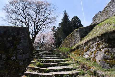 写真4