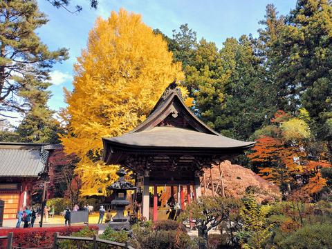 写真38