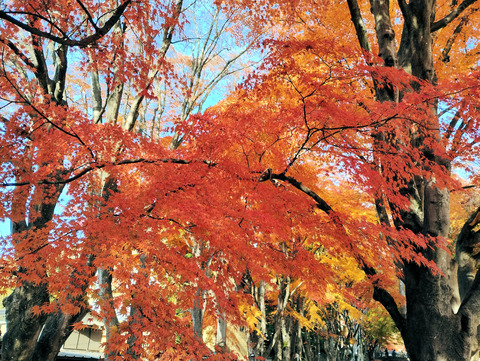 写真24