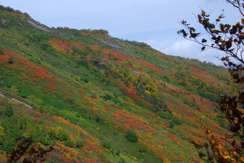 赤岳の紅葉 もりつちの徒然なるままに