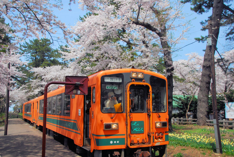 イメージ 10