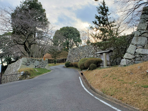 写真24