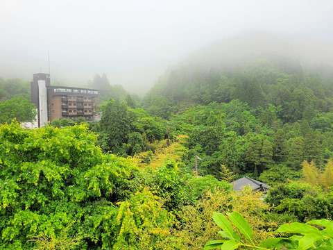 写真19