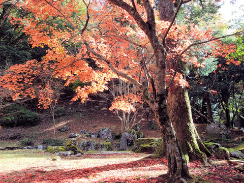 写真58