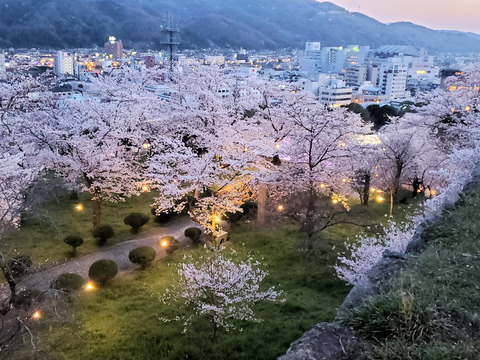 写真061