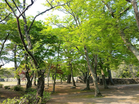 写真8