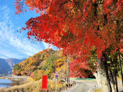 写真29