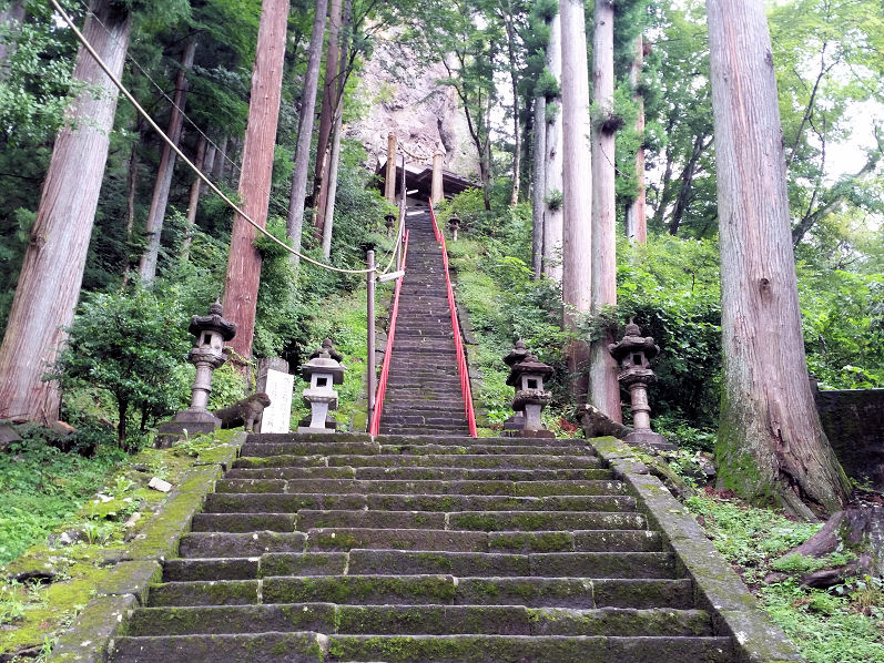 イメージ 7