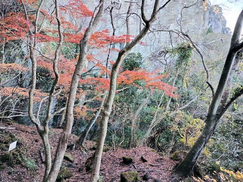 写真09