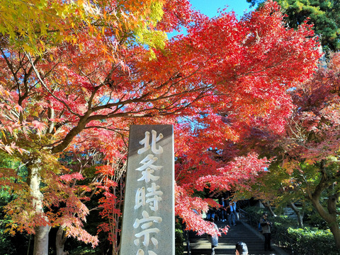 写真02