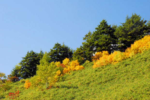 https://livedoor.blogimg.jp/mk2kpfb/imgs/6/9/691025ab.jpg