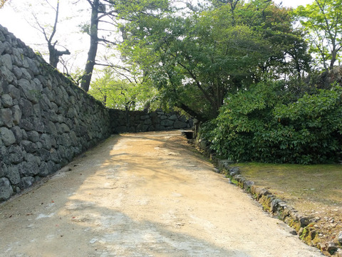写真4