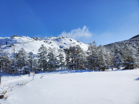 写真08