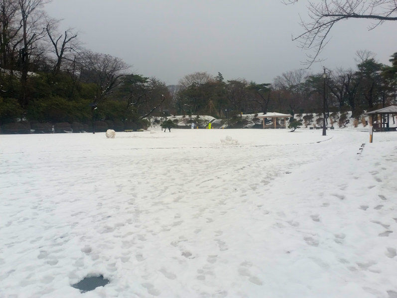 イメージ 4