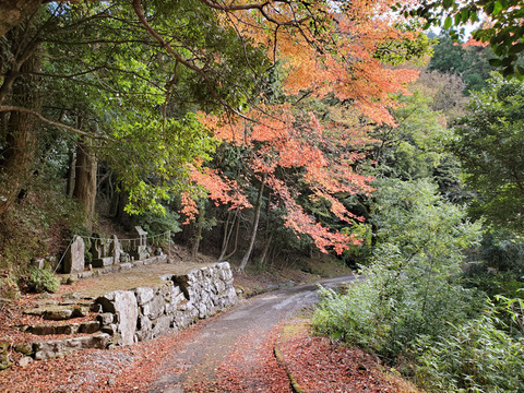 写真35