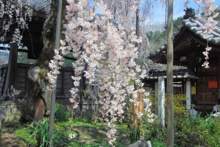 https://livedoor.blogimg.jp/mk2kpfb/imgs/6/b/6b62faf1.jpg