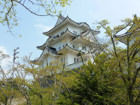 写真4