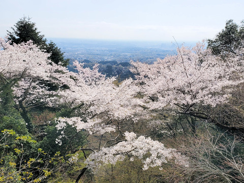 写真02