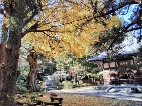 写真04