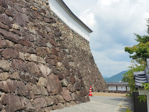 写真39