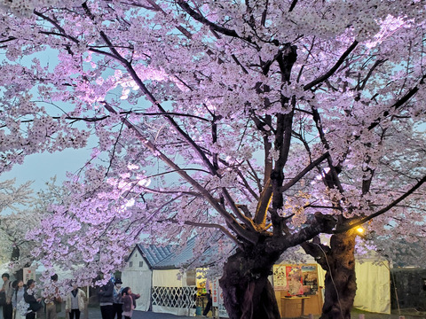 写真059