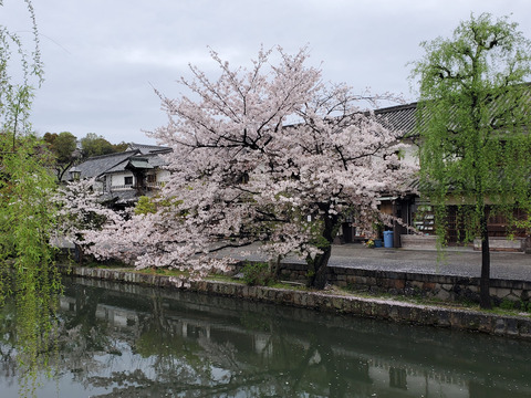 写真111