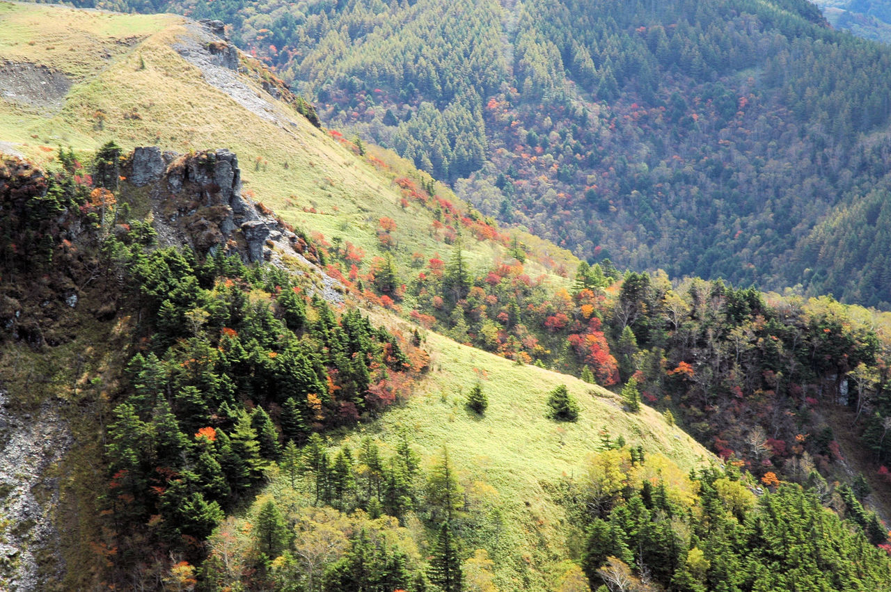美ヶ原で見る紅葉 もりつちの徒然なるままに