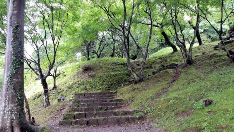 イメージ 8