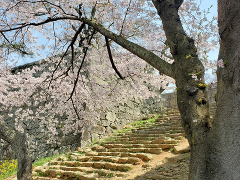 写真079