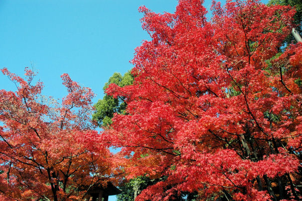 https://livedoor.blogimg.jp/mk2kpfb/imgs/7/7/7743f653.jpg