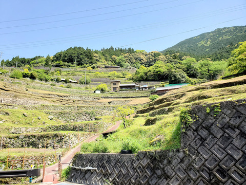 Waka18