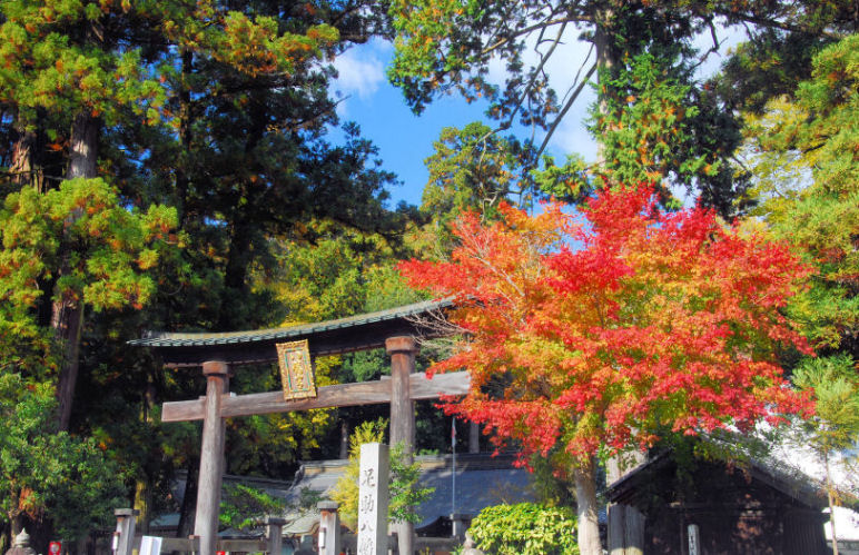 イメージ 11