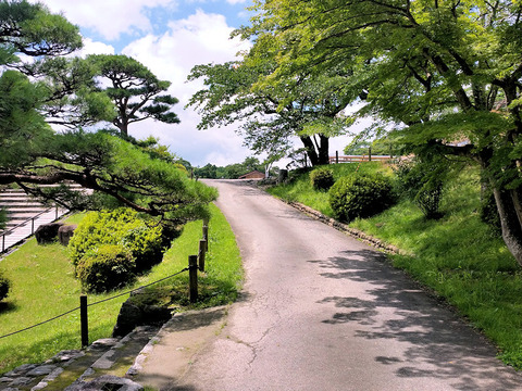 写真21