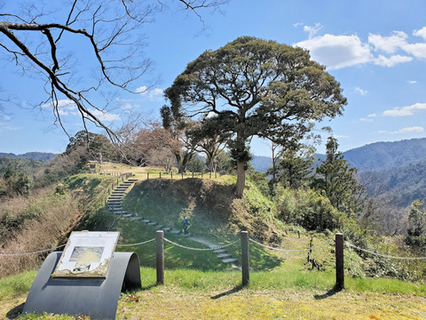 写真27