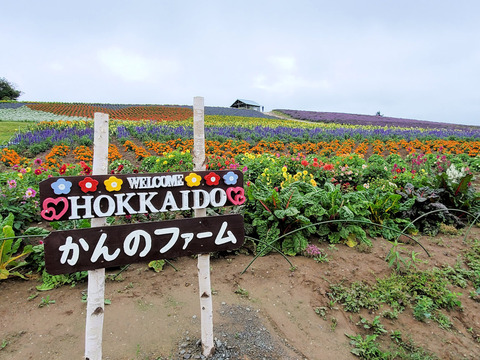 写真078